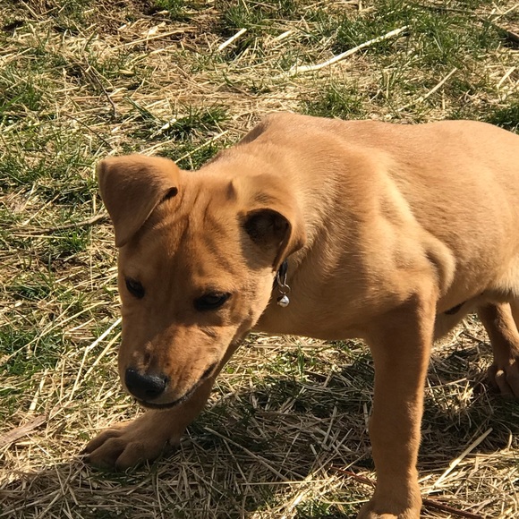 Meet your Posher, Carlos - Picture 1 of 1